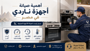 أهمية صيانة أجهزة ناردي في مصر