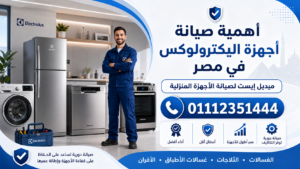 أهمية صيانة أجهزة اليكترولوكس في مصر