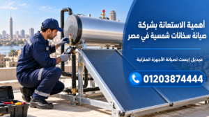 أهمية الاستعانة بشركة صيانة سخانات شمسية في مصر