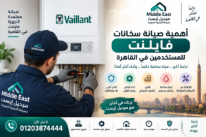 أهمية صيانة سخانات فايلنت للمستخدمين في القاهرة